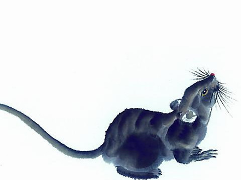 2021年，鼠桃花最旺的是哪个月