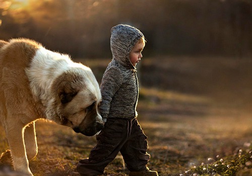 五行缺木的羊宝宝的名字