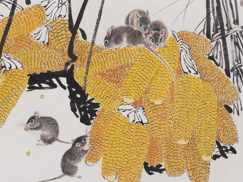 2021年上半年鼠属健康运势分析