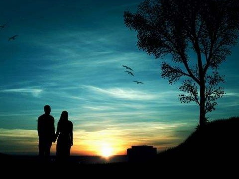 嫁给92个猴男95个猪女好不好