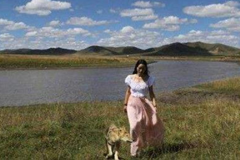 猪患癌症的原因是什么