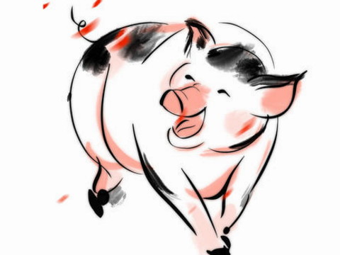 1971年和2021年猪的幸运色是什么