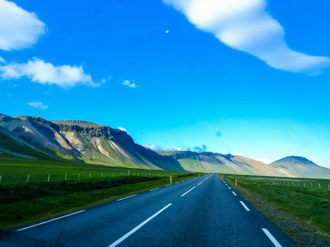 头脑聪明的八字