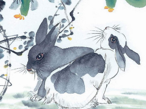 1999年和2021年兔子的幸运色是什么