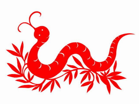 1989年，这是蛇最好的婚姻。谁是89年来最好的对手