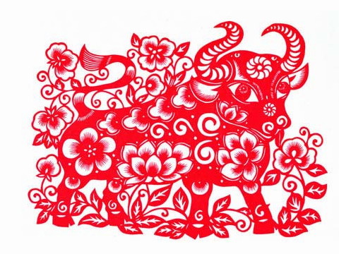 母牛出生年的第一天你能出去吗