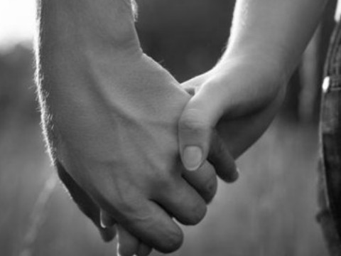 什么样的动物是狗最兼容的，什么样的动物不适合狗