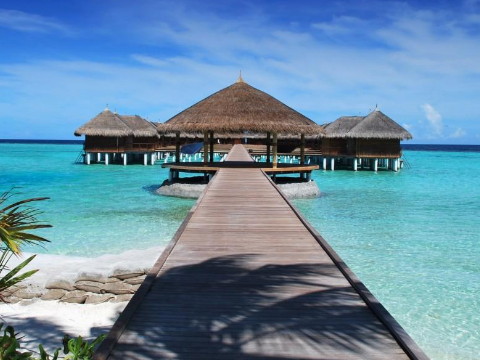 才华出众之人的八字特征