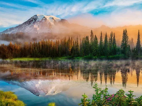 沙中土和大林木互相克吗？沙中图会嫁给大林木吗？