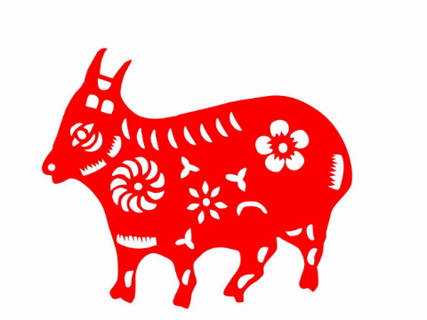 2021年1991年出生的羊多大了