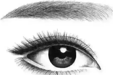 浓眉男人的性格是怎样的