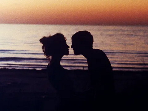 属蛇的和属虎的合不合 婚姻配不配