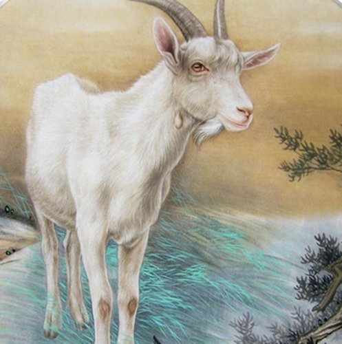 十二生肖羊最佳情感伴侣