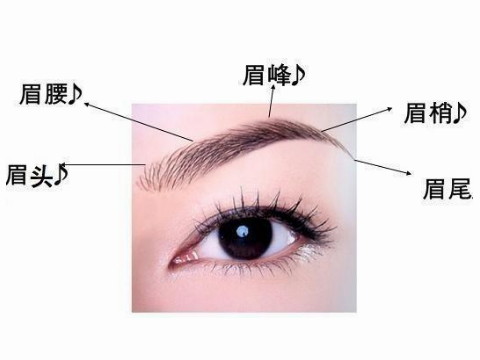眉毛附近痣相看命运
