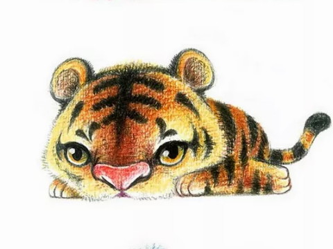 一个出生时是老虎的男孩命运如何