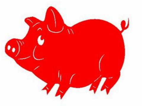 2019年十二生肖的五行是什么