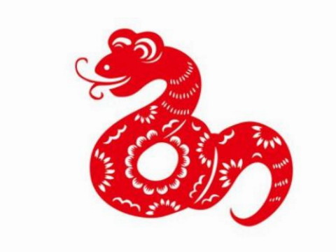 蛇在哪一年幸运