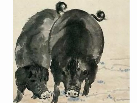 2021年1971年的猪人多大了