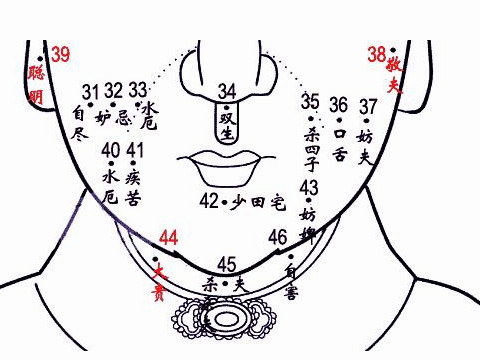 下巴痣图解 下巴有痣必大富大贵吗