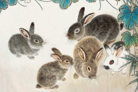 说话最熟练的是生肖女