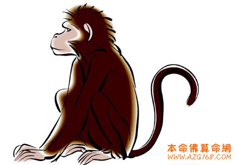 属猴的几月出生最好