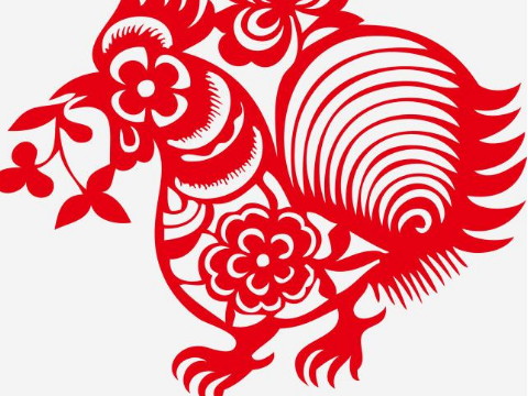 1993年谁是鸡的最佳搭配