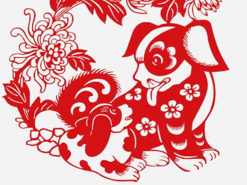 1970年，它是一只狗。2021年，太老了穿不上。