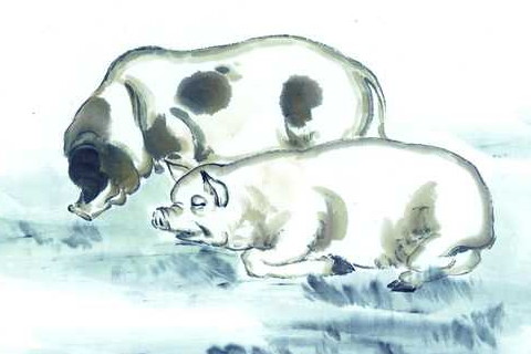 十二生肖女人没有心