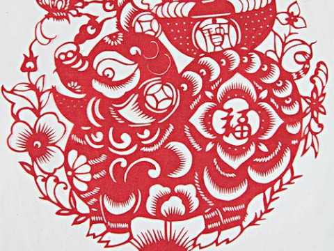 猪属和猴属同意还是不同意