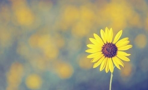 什么名字最赚钱