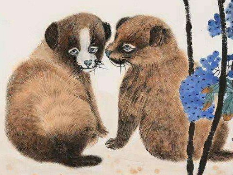 2006年和2021年狗狗的幸运色是什么