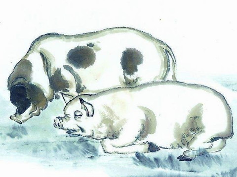 1995年和2021年猪的幸运色是什么