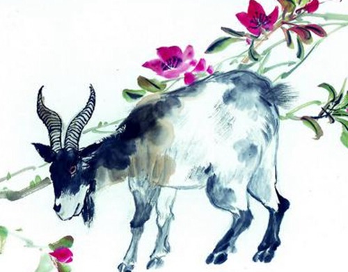 1991年是什么生肖