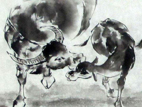 1973年，是一头牛的一生和三场灾难。灾难发生在那一年