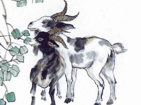 属于羊男的性格和爱情观