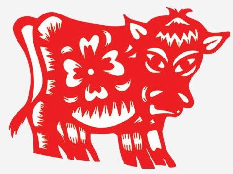 2021年牛老了还能换工作吗