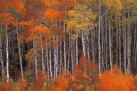 看看那些容易破财的人