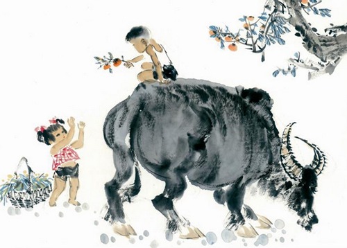 它是牛的最佳搭配,也是牛的最佳配偶