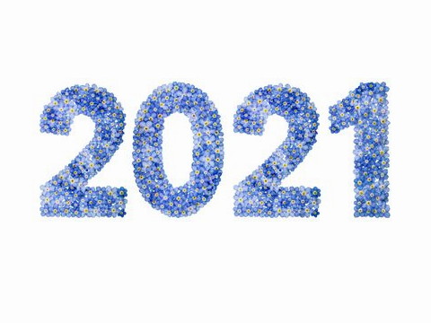 2021年最红火的生肖