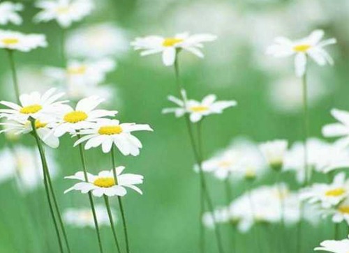 名字取决于你的财富是否繁荣