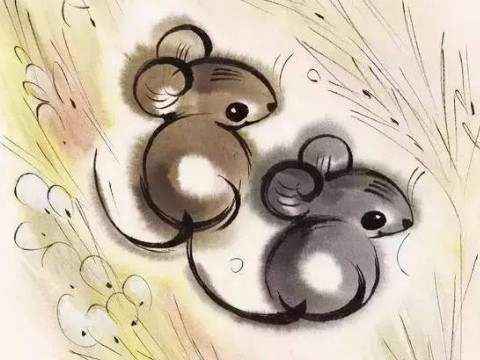 农历的哪一天，一个老鼠男孩生来就过着富足的生活