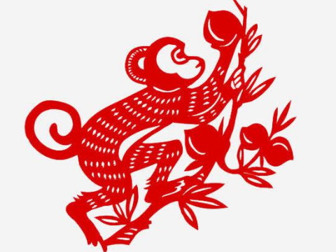 1980年，猴人什么时候走运了