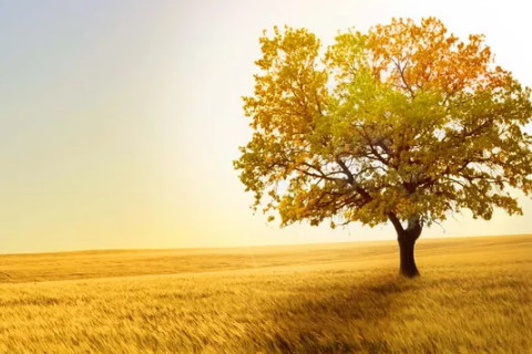 看看那些一流婚姻的人