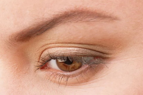 眉毛高眉毛低的人是什么性格