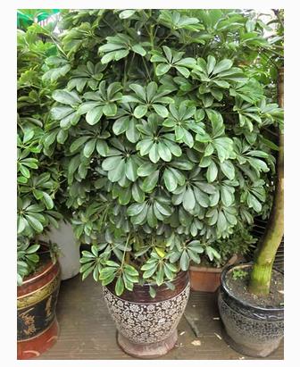 最聪明的赚钱方法