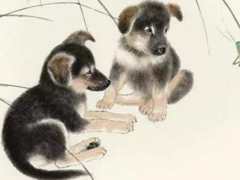 1958年和2021年狗狗的幸运色是什么