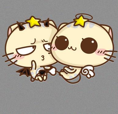 双子座遇见双子座