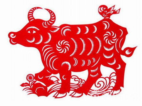 2021年牛的运势如何