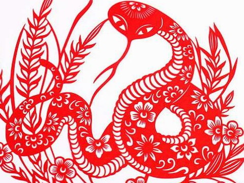 2021年，恶运中的蛇是什么时候出生的