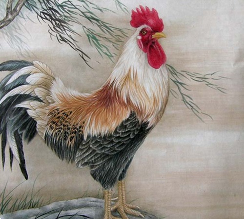 十二生肖鸡最佳情感伴侣